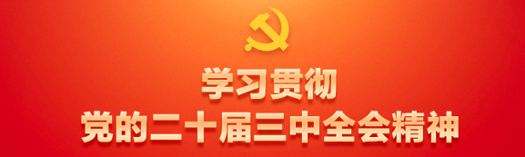 学习贯彻党的二十届三中全会精神